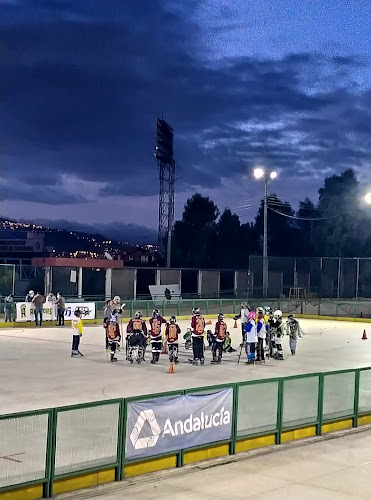 Opiniones de Patinódromo Concentración Deportiva de Pichincha en Quito - Escuela