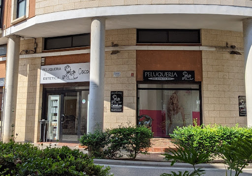 Peluquería Cocoliso en L'Eliana, Valencia