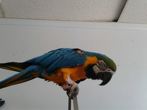 Pet Store «Oceans Of Pets», reviews and photos, 1794 Diamond Hill Road, Woonsocket, RI 02895, USA