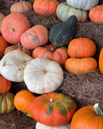 Grocery Store «The Fresh Market», reviews and photos, 526 21st St, Vero Beach, FL 32960, USA