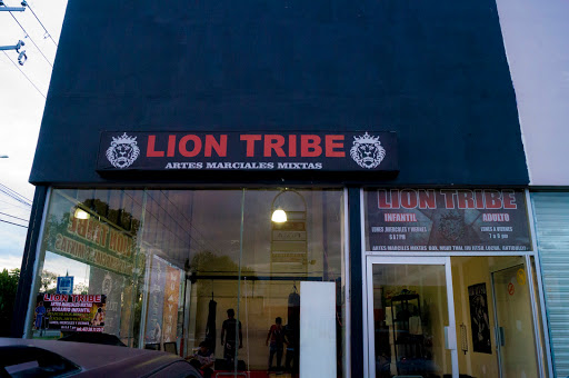 Lion Tribe Mixed Martial Arts