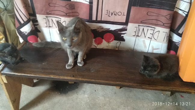 Veterinaria Libia - Montevideo