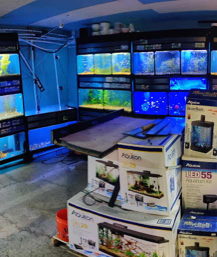 Pet Store «Critter Cabana - Wilsonville», reviews and photos, 8406 SW Main St #200, Wilsonville, OR 97070, USA