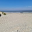 Hondenstrand Middelkerke (Loslopen)