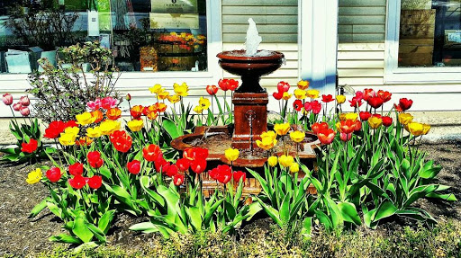 Liquor Store «Lake Wine and Spirits», reviews and photos, 180 Main St S, Southbury, CT 06488, USA