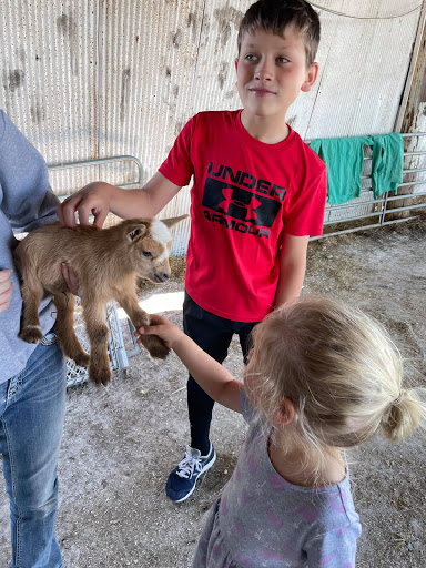 Farm «Benton Family Farm», reviews and photos, 11896 Old Lexington Pike, Walton, KY 41094, USA