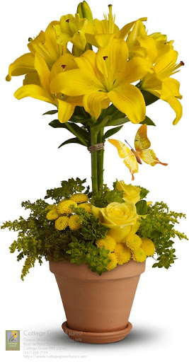 Florist «Cottage Grove Florist», reviews and photos, 8599 W Point Douglas Rd S #100, Cottage Grove, MN 55016, USA