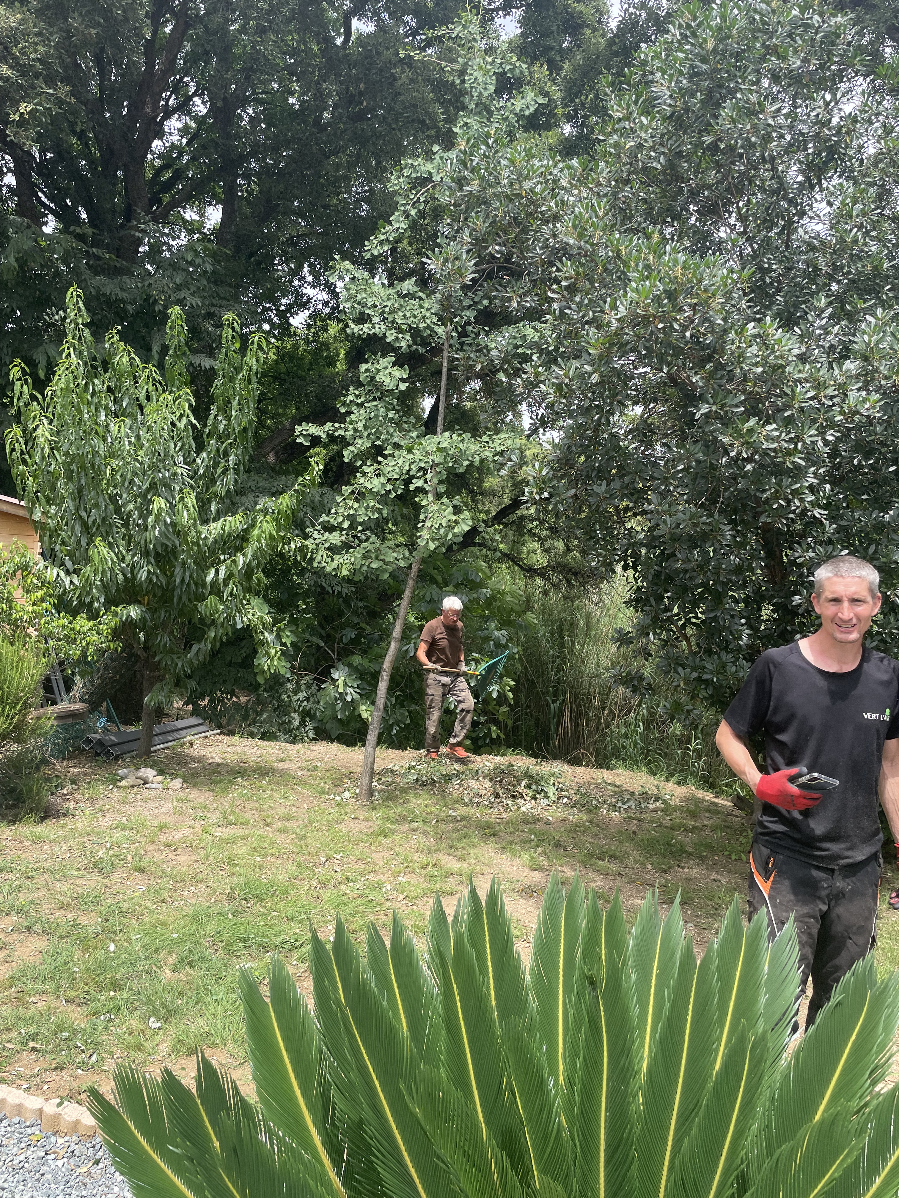 Photo n° 2 de l'avis de Literie.a fait le 26/06/2023 à 11:26