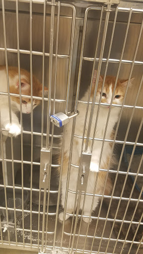 Pet Supply Store «PetSmart», reviews and photos, 2940 Chapel Hill Rd, Douglasville, GA 30135, USA