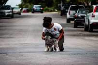 All Dogs Unleashed - Photo 9 - Car repair in Austin, TX, Austin