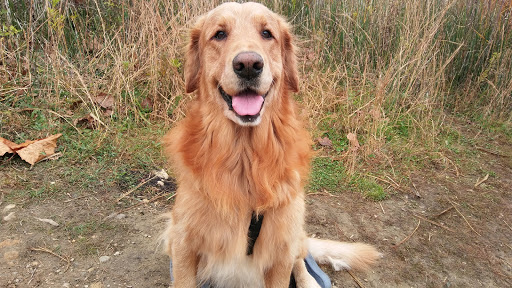 Park «Founders Park», reviews and photos, 11675 Hazel Dell Pkwy, Carmel, IN 46033, USA