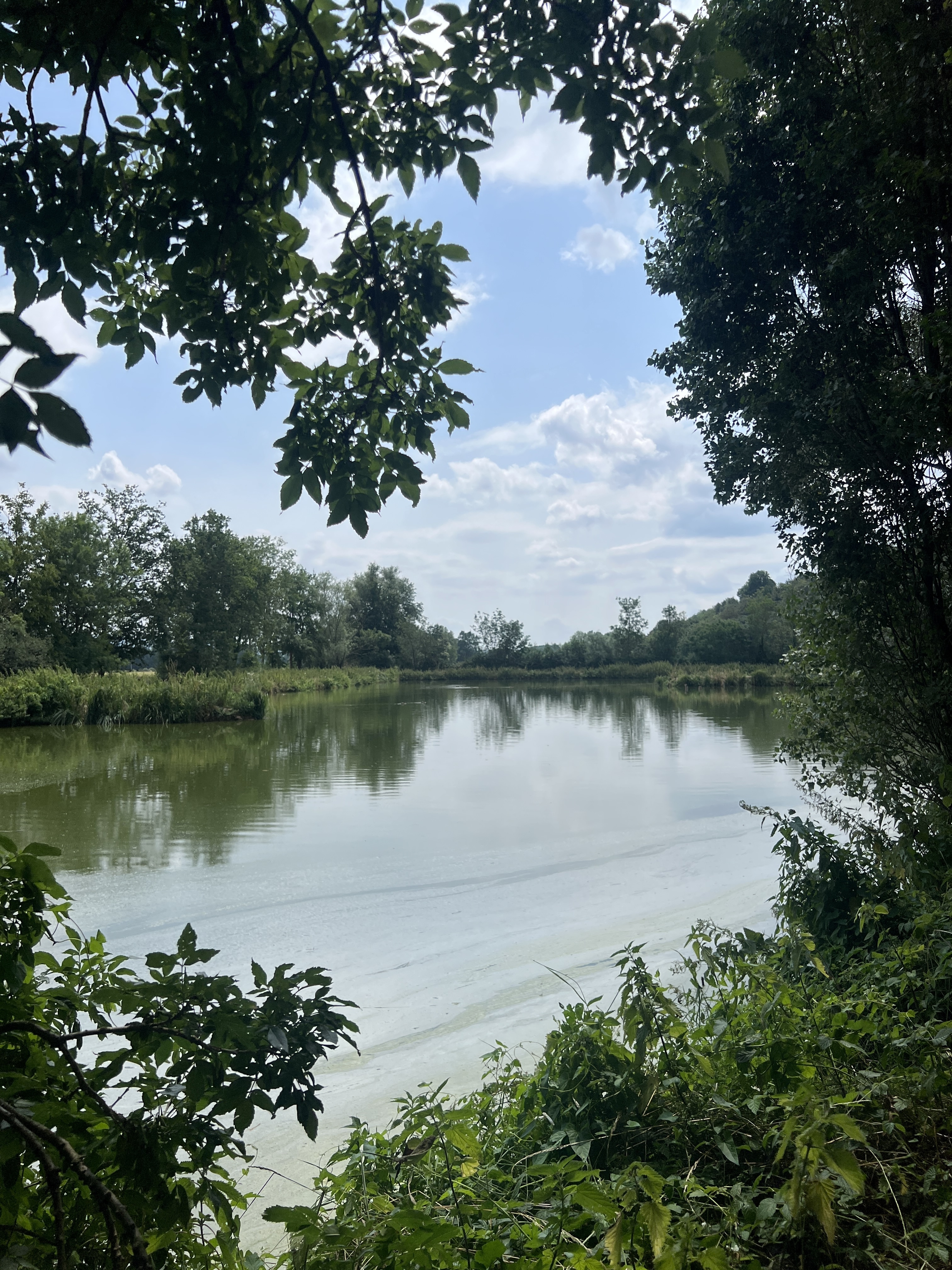 Photo n° 4 de l'avis de Zaaki. fait le 13/07/2023 à 22:45