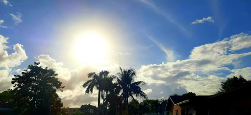 Supermarket «Walmart Neighborhood Market», reviews and photos, 3791 NW 167th St, Miami Gardens, FL 33055, USA