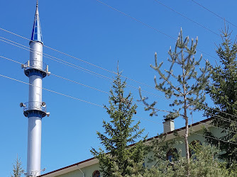 Gölyüzü Mahallesi Cami