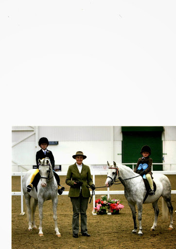 Lodge Riding Centre (Riding Lessons & Horse Livery)