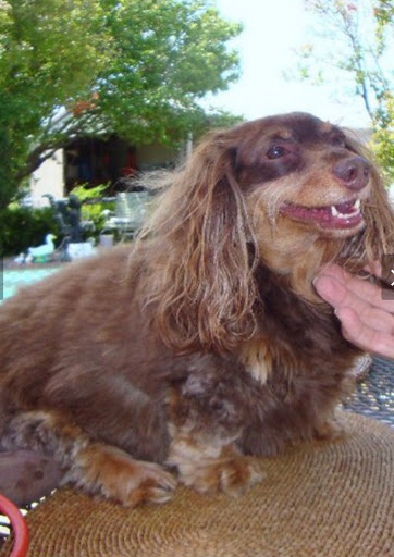 Grocery Store «Kroger», reviews and photos, 1950 N Goliad St, Rockwall, TX 75087, USA