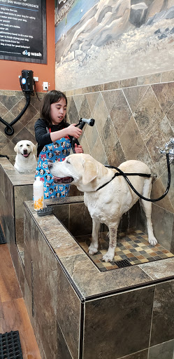 Pet Store «Pet Valu», reviews and photos, 99 E Main Rd, Middletown, RI 02852, USA