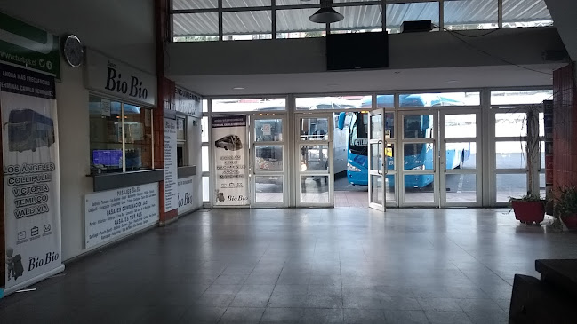 Opiniones de Terminal Camilo Henríquez en Concepción - Agencia de viajes