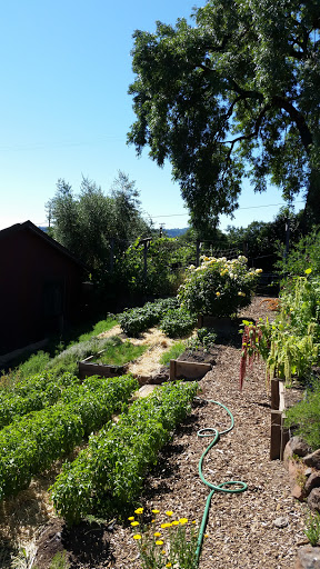 General Store «Dry Creek General Store», reviews and photos, 3495 Dry Creek Rd, Healdsburg, CA 95448, USA