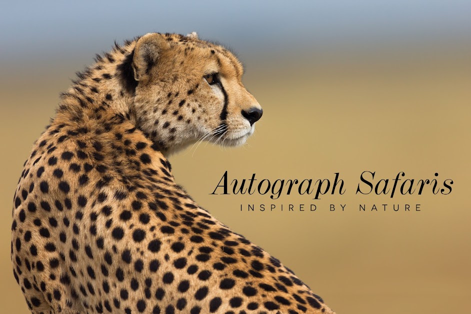 Kleber Europe SAS - Autograph Safaris Saint-Louis