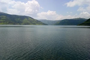 Tarali Dam image