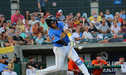 Myrtle Beach Pelicans