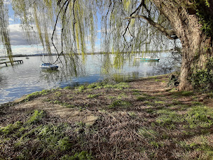 Photo n°2 de Horizon Sports à Jonage ()