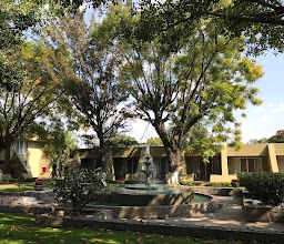 Camino Real Guadalajara photo