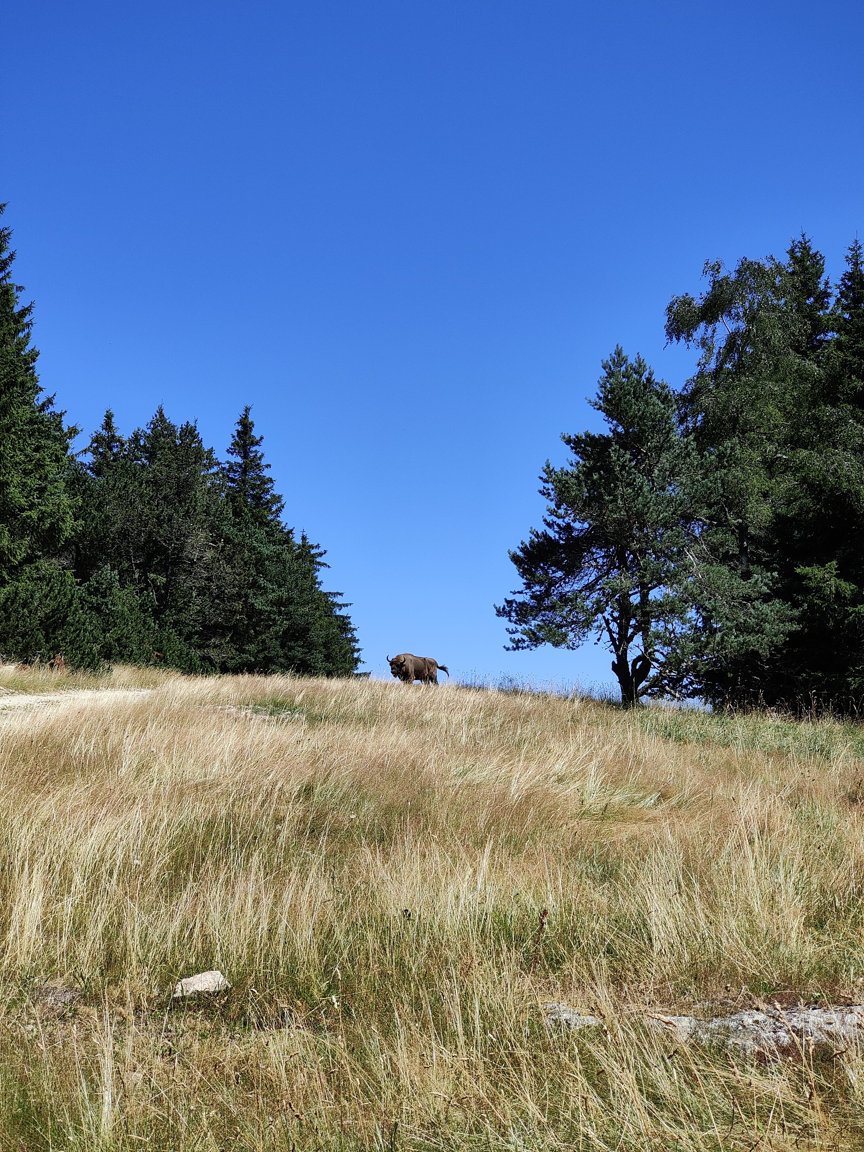 Photo n° 2 de l'avis de Kevin.l fait le 27/07/2023 à 16:08