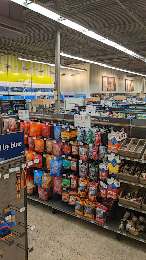 Pet Supply Store «Petco Animal Supplies», reviews and photos, 5994 Montana Ave, El Paso, TX 79925, USA