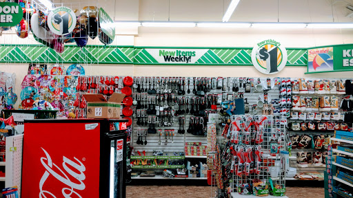 Dollar Store «Dollar Tree», reviews and photos, 1243 E Higgins Rd, Schaumburg, IL 60173, USA