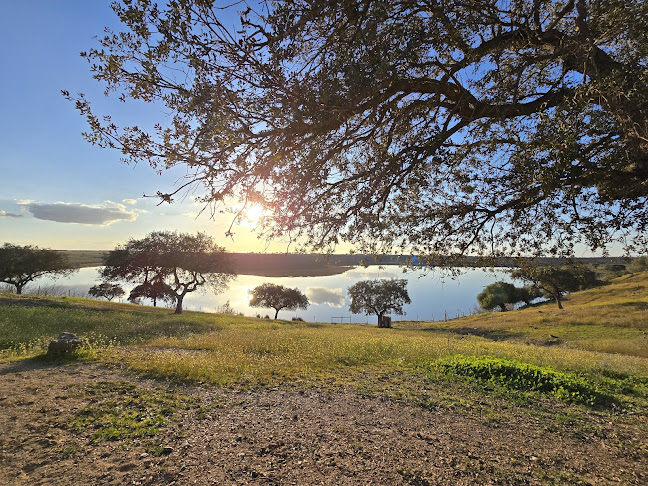 Hotel Vila Galé Alentejo Vineyards