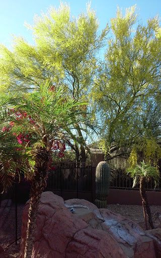 Country Club «Ancala Country Club», reviews and photos, 11700 E Vía Linda, Scottsdale, AZ 85259, USA