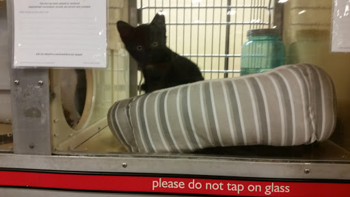 Pet Supply Store «PetSmart», reviews and photos, 916 Loganville Hwy, Bethlehem, GA 30620, USA