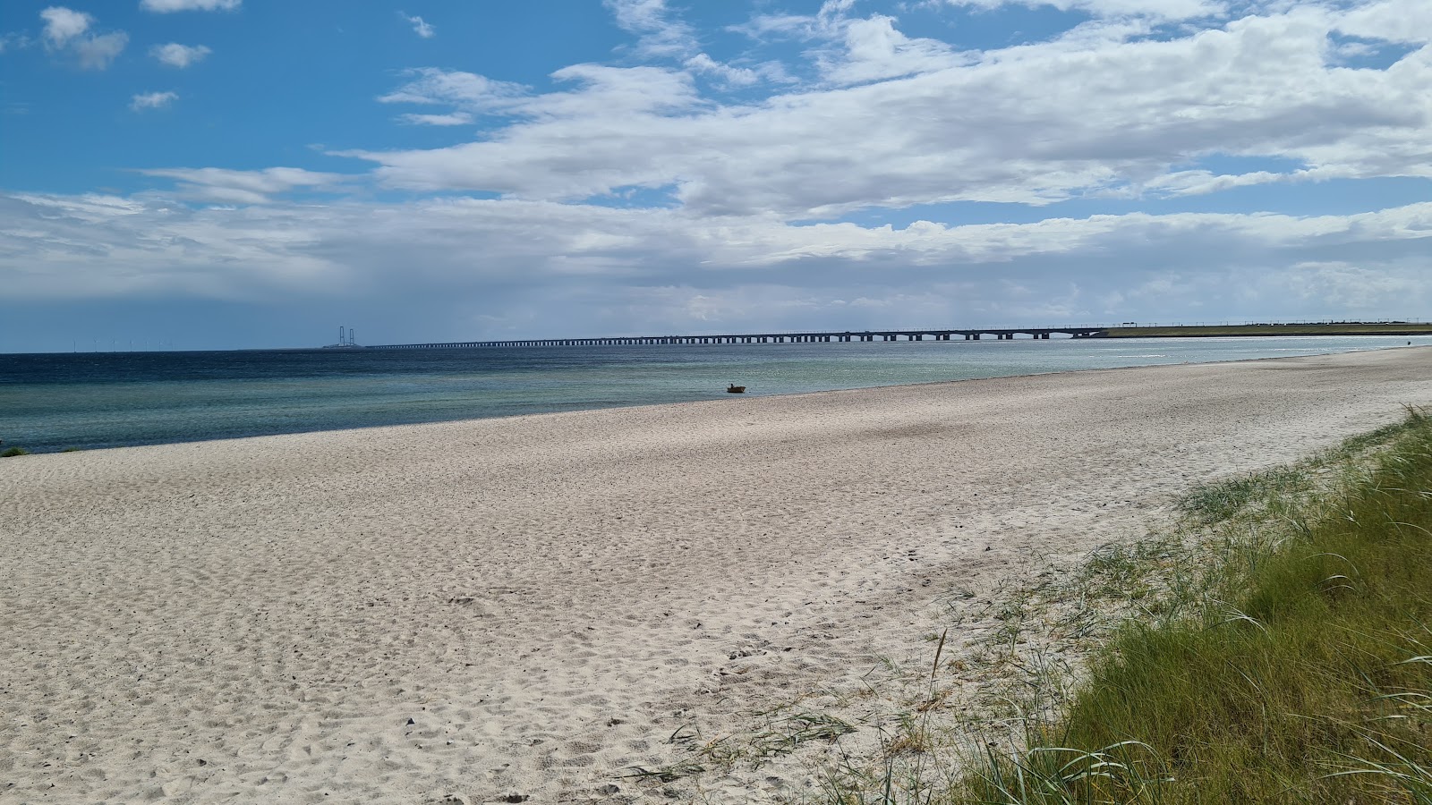 Φωτογραφία του Nyborg Beach παροχές περιοχής