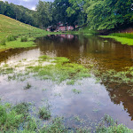 Photo n°1 de l'avis de Vittorio.a fait le 20/08/2019 à 15:00 sur le  Agriturismo La Pratolina, Alpe Comana à Schignano