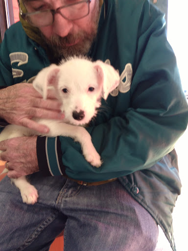 Pet Store «Pets Plus - Quakertown», reviews and photos, 117 S West End Blvd, Quakertown, PA 18951, USA