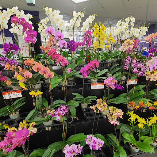 Grocery Store «Rice Epicurean Markets», reviews and photos, 2020 Fountain View Dr, Houston, TX 77057, USA