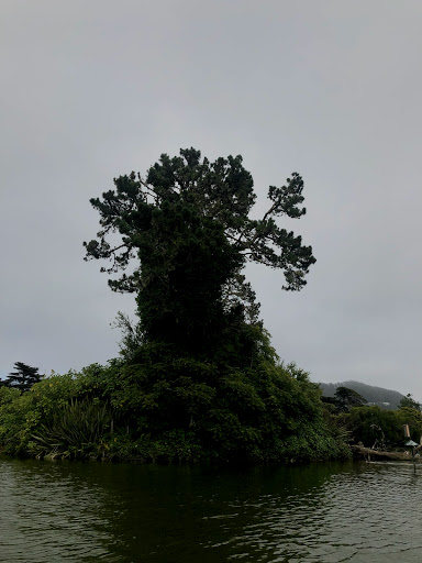 Park «Huntington Falls», reviews and photos, 50 Stow Lake Dr, San Francisco, CA 94118, USA