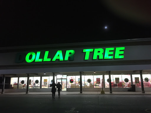Dollar Store «Dollar Tree», reviews and photos, 8727 S Ridgeland Ave, Oak Lawn, IL 60453, USA