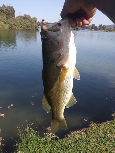 Tourist Attraction «Legg Lake», reviews and photos, 750 S. Santa Anita Avenue, South El Monte, CA 91733, USA