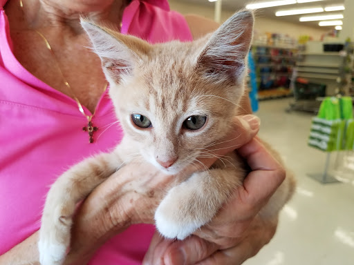 Pet Supply Store «Pet Supplies Plus», reviews and photos, 1258 Northlake Blvd, Lake Park, FL 33403, USA