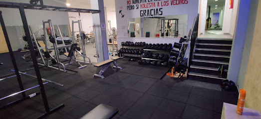 Fitness gym MT - Carrer de Pollèntia, 32, 07400 Mallorca, Illes Balears, Spain