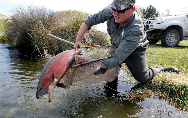 Reviews of North Canterbury Fish & Game Council in Christchurch - Association