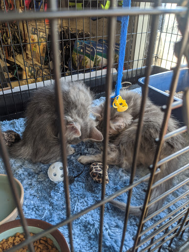 Pet Supply Store «Veterinary Medical Center and Specialty Pet Supply», reviews and photos, 8165 Morro Rd, Atascadero, CA 93422, USA