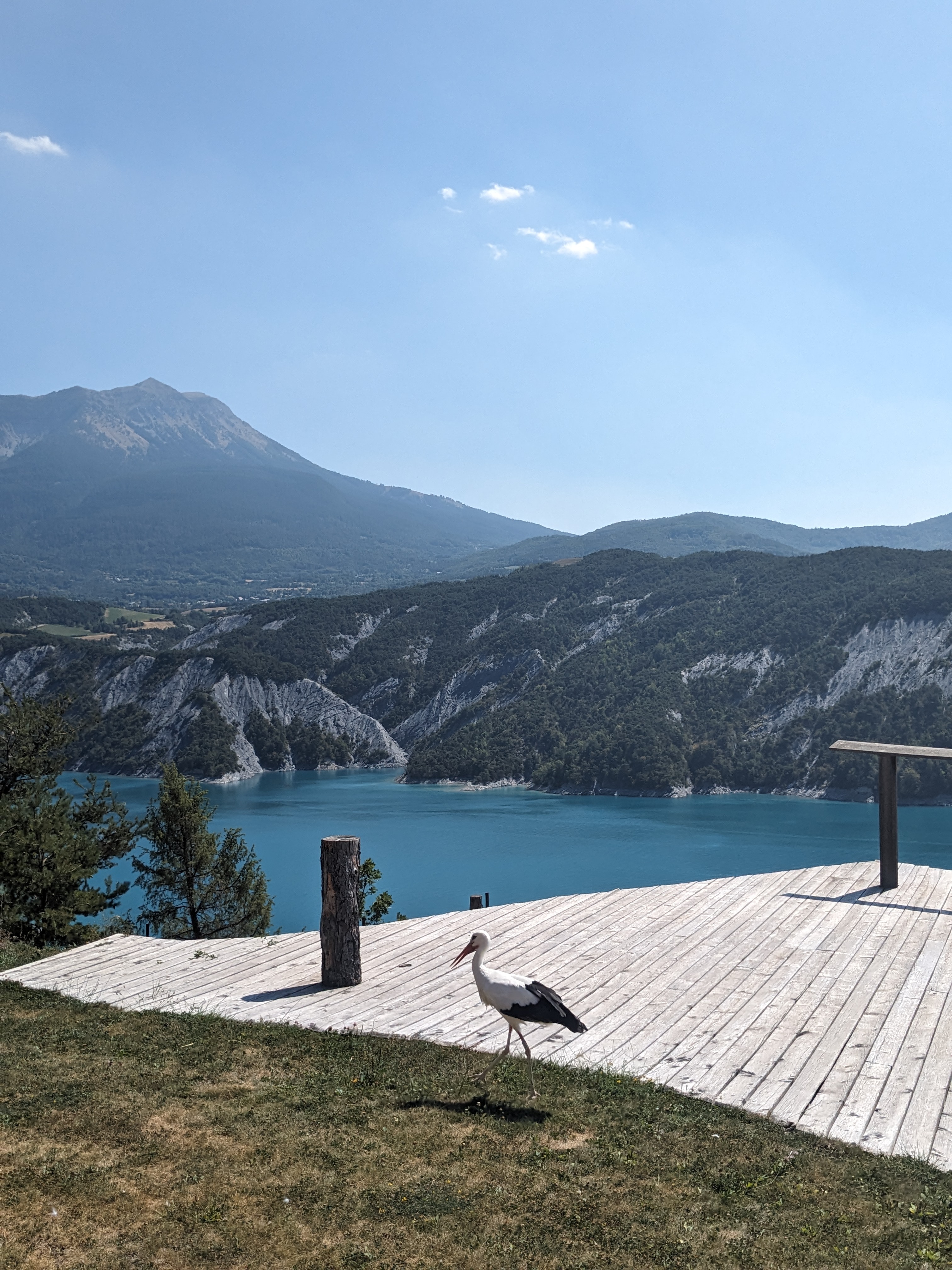 Photo n° 1 de l'avis de Alexandre. fait le 27/08/2023 à 06:34