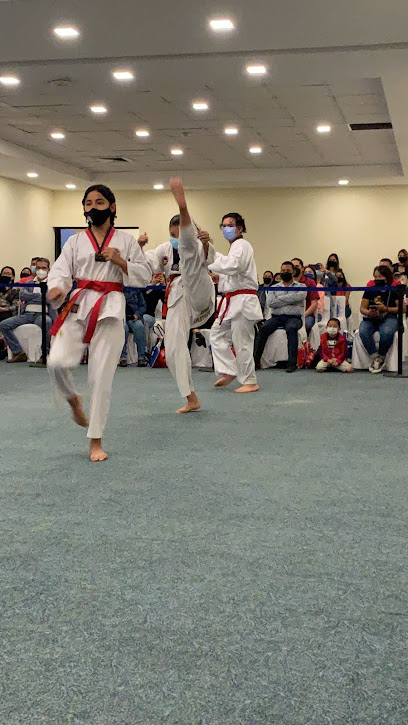 Escuela de Taekwondo  Cheng Woo Hoi  - Naranja 95, La Primavera, 47829 Ocotlán, Jal., Mexico