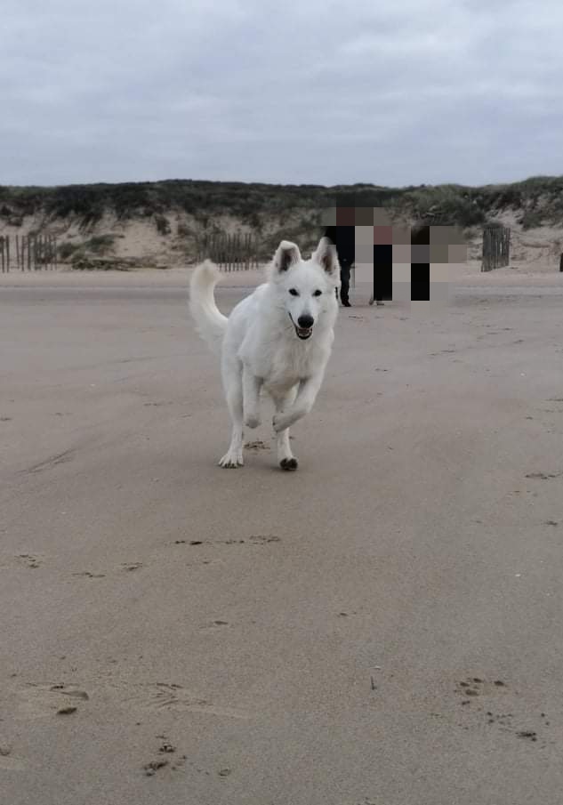 Photo n° 2 de l'avis de Ticia. fait le 16/11/2021 à 19:51