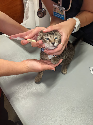 Pet Supply Store «PetSmart», reviews and photos, 8014 Old Carriage Ct, Shakopee, MN 55379, USA