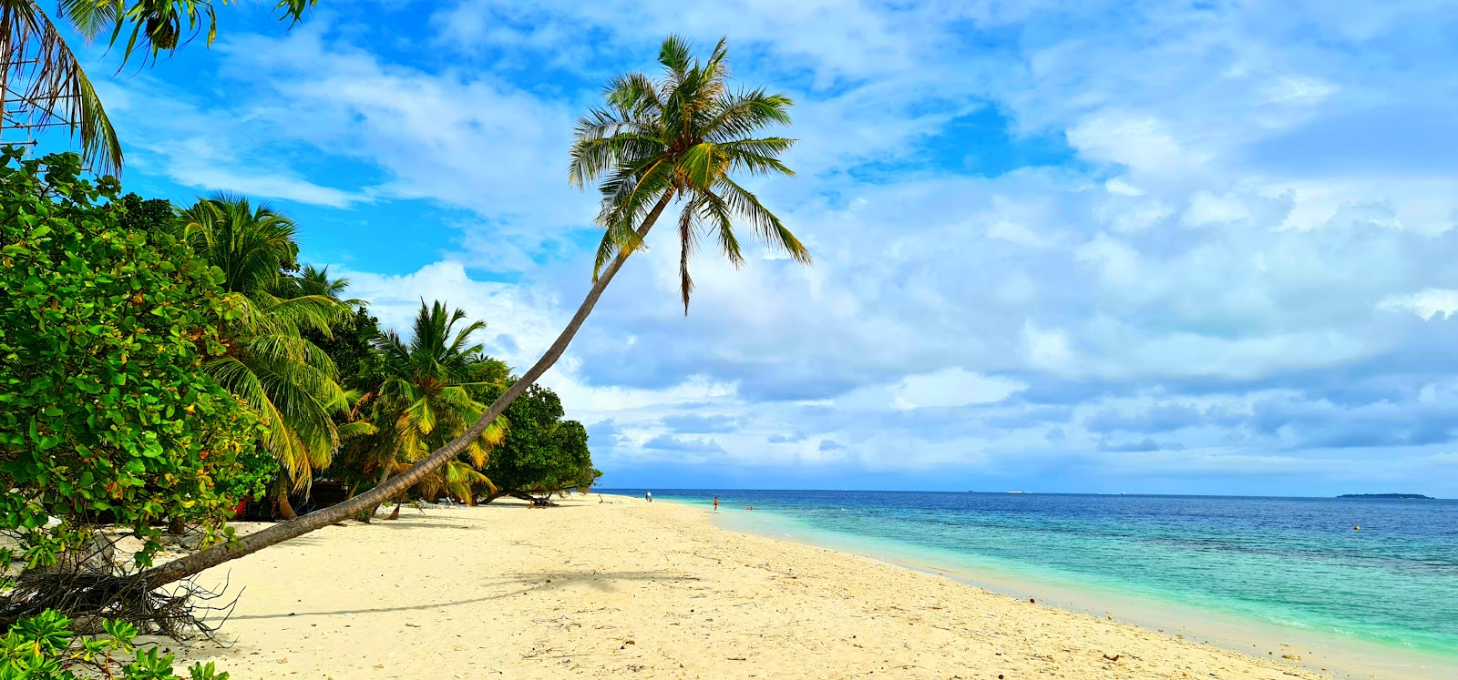 Photo de Dharavandhoo Beach - endroit populaire parmi les connaisseurs de la détente